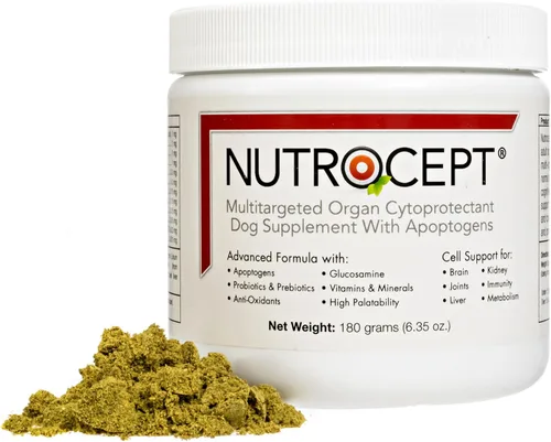 Vista 2 de Nutrocept Suplemento para perros adultos y citoprotector de órganos: apoya el cerebro, las articulaciones, los riñones y el hígado y promueve