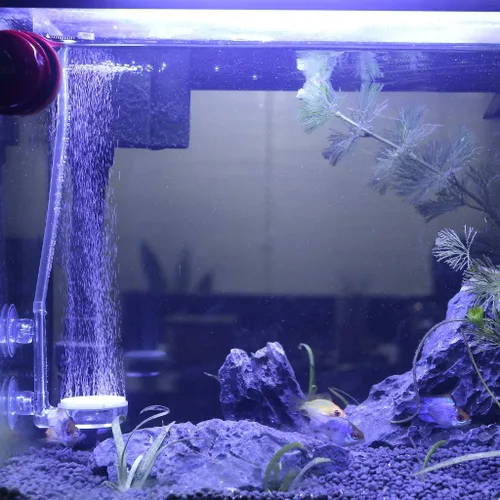 Vista 9 de Upettools Kit de Piedra de Aire para Acuario de 1.4 Pulgadas Piedra de Burbujas Nano para Tanque de Peces con Válvula de Control Difusor de Oxígeno