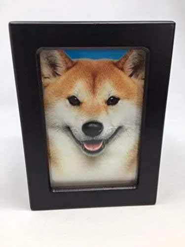 Vista 5 de Urna para mascotas, urna conmemorativa para mascotas, caja de fotos, urna de cremación para mascotas, urna de perro, urna de gato, urna de animal
