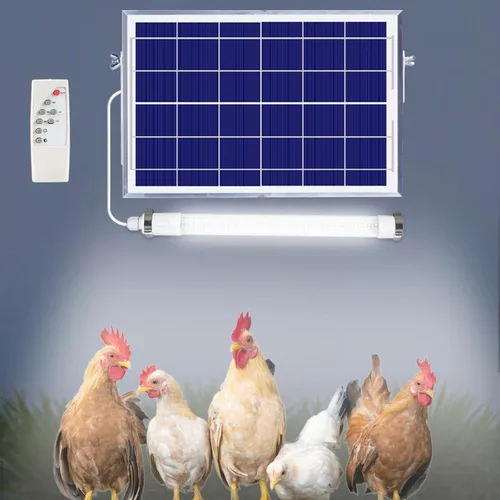 Vista 5 de MEIHONG Paquete de 2 luces solares de gallinero con temporizador LED regulable, luces solares de cobertizo, IP66 impermeable y cable de 16.4 pies
