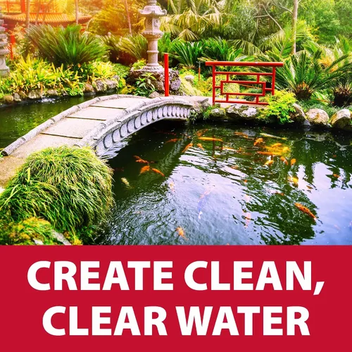 Vista 6 de The Pond Guy AllClear G3 - Filtro de presión biológica y clarificador de luz ultravioleta con sistema de retrolavado, filtración biológica