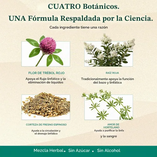 Vista 3 de Nature's Sunshine - Gotas de drenaje linfático con extracto de cuchillas, 60 serv. Herbal Lymphatic Support Supplement Complex for Lymph Drainage