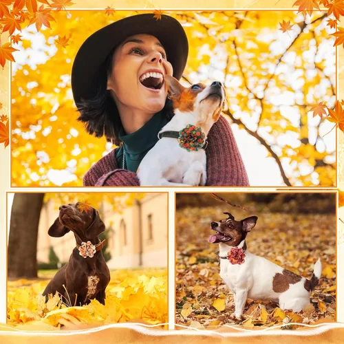 Vista 6 de Silkfly 60 piezas de collar de otoño para perro, flores a granel, collar de flores de Acción de Gracias, corbatines, accesorios para perros