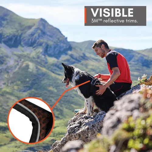 Vista 9 de Non-stop dogwear Rock Arnés ajustable para perros pequeños con 3 clips para correa, asa y reflectante, negro/naranja, talla XS