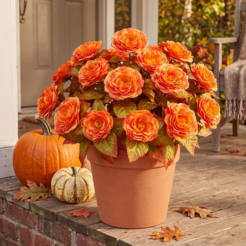 Vista 7 de Thiccywoov 8 Bundles Orange Artificial Flowers 40 Heads Fall Camellia