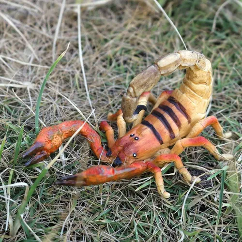 Vista 5 de Juego de 6 figuras realistas de insectos variados realistas, figuras de insectos modelo de insectos, regalo temático de insectos de Halloween, juego