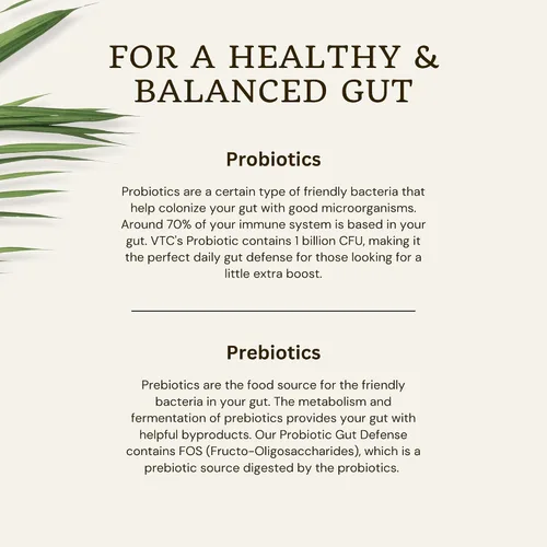 Vista 7 de VTC VitaTradingCo. Probiotic Gut Defense Probióticos y prebióticos para la salud intestinal y la digestión 1 mil millones de UFC con base