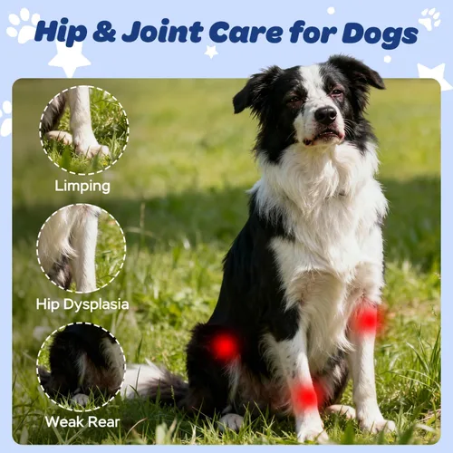 Vista 2 de Suplemento masticable para cadera y articulaciones para perros con glucosamina, condroitina y MSM - Masticables de apoyo articular con vitaminas C