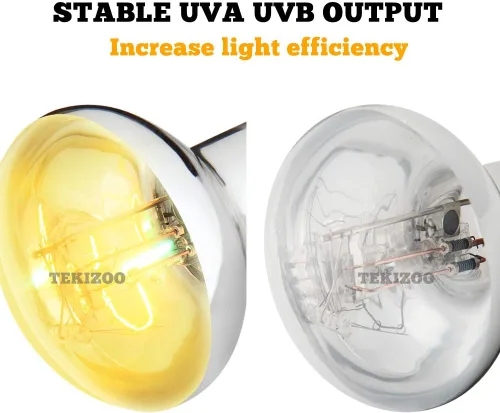 Vista 4 de UVA UVB Lámpara solar de alta intensidad autobalastizada lámpara de calor para reptiles y anfibios (80W)