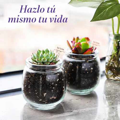 Vista 7 de Syntic Paquete de 40 tarros pequeños de vidrio con tapas de corcho, tarros de masón vacíos de 7 onzas para hacer velas, recipiente de yogur