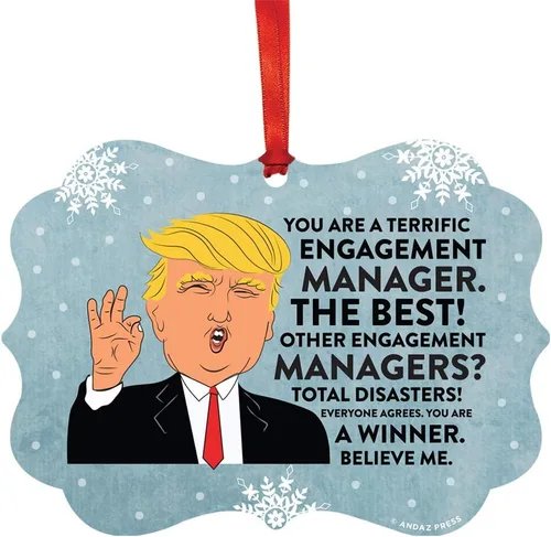 Vista 77 de Andaz Press Presidente Donald Trump Fancy Frame Recuerdo Adorno de Navidad Regalo de broma Ejecutivo de Cuenta, 1 paquete, Divertidas Ideas