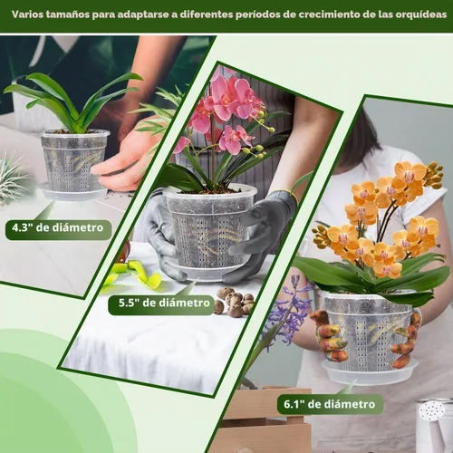 Vista 8 de Maceta de orquídeas con platillos, paquete de 6 macetas de orquídeas con agujeros, 2 macetas de plástico transparente de 4.3 pulgadas, 5.5 pulgadas