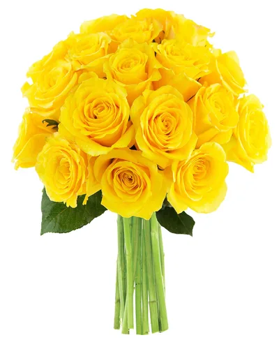 Vista 61 de KaBloom - Rosas arcoíris (media docena)- Flores frescas para cumpleaños, San Valentín y Día de la Madre