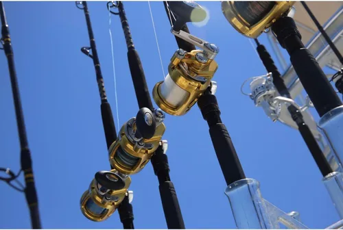 Vista 4 de Penn International VI - Carretes de pesca convencionales (todos los modelos y tamaños)