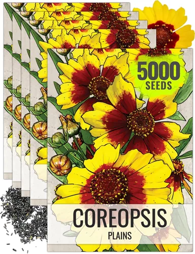 Vista 10 de Seed Needs Coreopsis Plains - Semillas para plantar flores amarillas al aire libre, 1 paquete