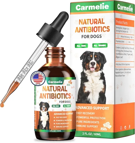 Vista 8 de Antibióticos naturales para perros – Antibióticos para perros, suplementos nutricionales para problemas de piel, alivio de picazón, suplemento