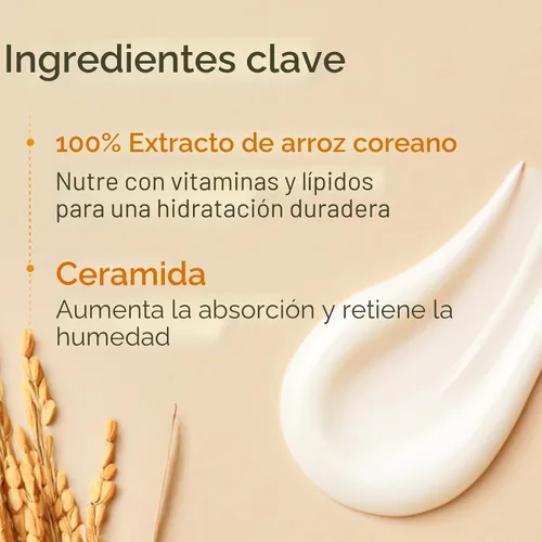 Vista 4 de The Face Shop Crema de Ceramidas de Arroz, Hidratante Facial, para Piel Seca y Mixta, Ligera, de Absorción Rápida, 50 ml