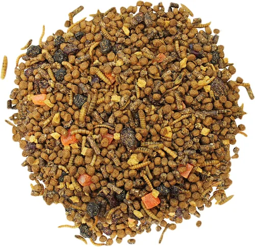 Vista 4 de Exotic Nutrition Opossum Complete - Dieta de Pellets Nutricionalmente Completa y Saludable - Alimento para Zarigüeyas de Cola Corta y Zarigüeyas