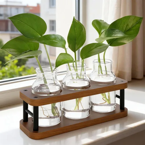 Vista 9 de THYGIFTREE Estaciones de propagación de plantas con soporte de metal, terrario de plantas de mesa para propagación hidropónica, maceta de vidrio