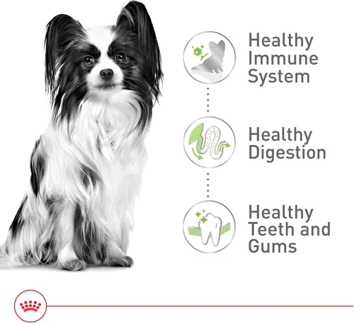 Vista 5 de ROYAL CANIN SIZE HEALTH NUTRITION X-SMALL comida seca para perros adultos