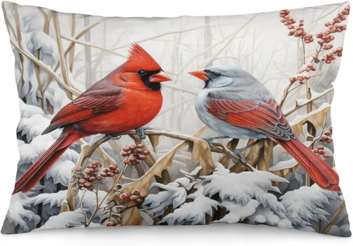 Vista 9 de Fundas de cojín decorativas para cama, diseño de pueblo de invierno, escena de invierno, con una casa victoriana en un entorno nevado, fundas