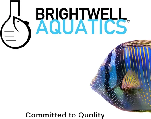Vista 7 de Brightwell Aquatics 1 pieza "microvore microdiet Alimentos para planktivorous peces y corales, 2 L