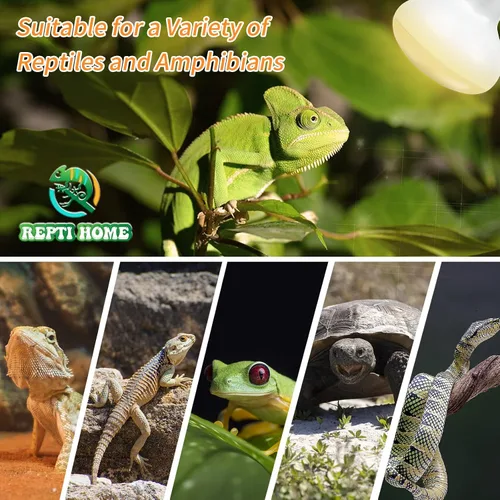 Vista 6 de Bombilla de calor para reptiles (3ª generación sin rota), paquete de 2 luces de 50 W para reptiles y anfibios, bombilla de calor de luz diurna UVA