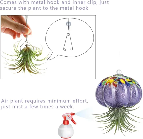 Vista 3 de H&D HYALINE & DORA Terrario de cristal soplado a mano colgante con diseño de medusa de aire para plantas de aire, decoración para jardín, porche