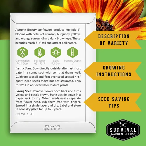 Vista 2 de Survival Garden Seeds - Semilla de girasol de Autumn Beauty para plantar - Paquete con instrucciones para plantar y cultivar flores hermosas
