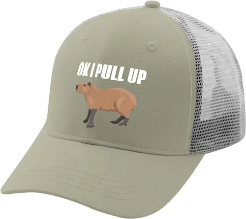 Vista 2 de Dad Hats Ok I Pull Up Baseball Caps, Vintage Dad Hats for Men