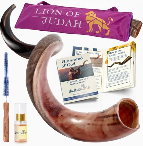 Vista 6 de HalleluYAH Kudu Shofar medio pulido Kosher original De Israel