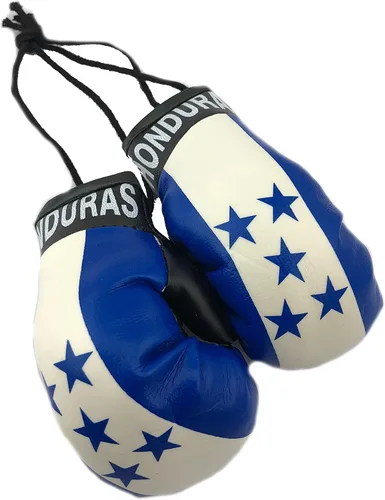 Vista 40 de Mini guantes de boxeo para colgar en el espejo del coche (Camerún)