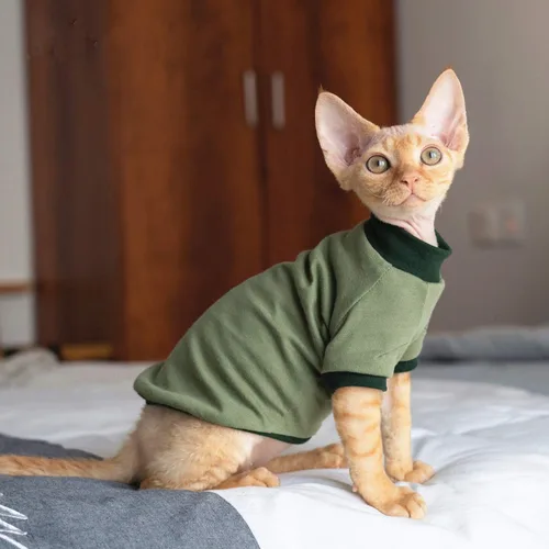 Vista 2 de Ropa para gatos sin pelo, camisa de algodón transpirable, para primavera, verano, otoño, gato, ropa para esfinge, Cornish Rex, Devon Rex, Peterbald