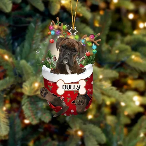 Vista 199 de IZI POD Affenpinscher Adorno de Navidad personalizado para perro, adorno de bolsillo de nieve para perro para árbol de Navidad, adorno acrílico