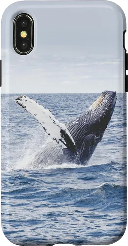Vista 5 de Whale Case for iPhone 17