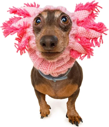 Vista 13 de Zoo Snoods Vestido de Jirafa - Redecilla tejida para perros con cubreorejas para mascotas, cubierta cálida para el cuello para Halloween e invierno