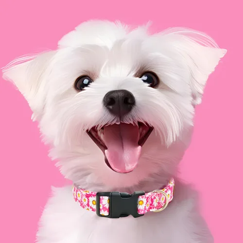 Vista 4 de Tunkoo Pink Daisy - Collar para perro, lindo collar ajustable de algodón de alta calidad, hebilla de plástico duradero para niños pequeños, medianos