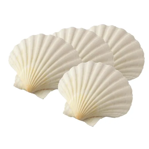 Vista 2 de Maine Man Conchas naturales para hornear, cosechadas de Irlanda y Escocia, para hornear, mariscos, aperitivos y postres, 4 pulgadas, juego de 4