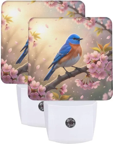 Vista 22 de Futterya Luz nocturna LED personalizada enchufable, juego personalizado de 2 lámparas de decoración con sensor automático del atardecer al amanecer