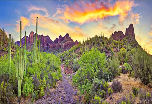 Vista 5 de AOFOTO Telón de fondo del desierto occidental de 6 x 3 pies, Parque Nacional Arizona, Roca, Montaña, Plantas Verdes Saguaro, Cactus Paisaje