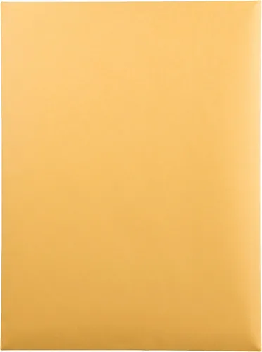 Vista 3 de Quality Park Heavyweight Catalog Envelopes, Gummed, Brown Kraft, 10 x 13, 250 per Box, (41665) (Pack of 2)