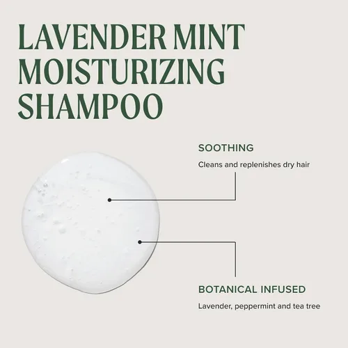 Vista 8 de Champú hidratante de lavanda y menta Tea Tree, hidrata + calma, para cabello grueso y seco