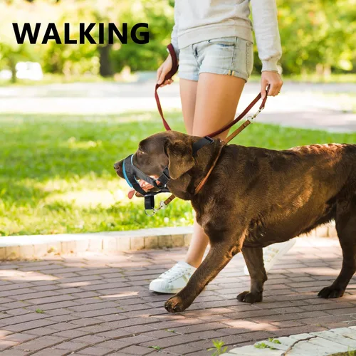 Vista 7 de Collar de cabeza de perro con tela suave, arnés para la cabeza para evitar tirones del perro, correa para la cabeza para perros pequeños, medianos