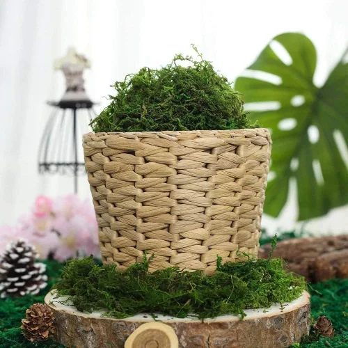 Vista 4 de Musgo falso para manualidades, musgo verde artificial para plantas en macetas para decoración de centros de mesa (3.5 onzas)