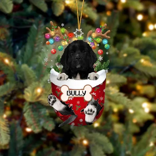 Vista 129 de IZI POD Affenpinscher Adorno de Navidad personalizado para perro, adorno de bolsillo de nieve para perro para árbol de Navidad, adorno acrílico
