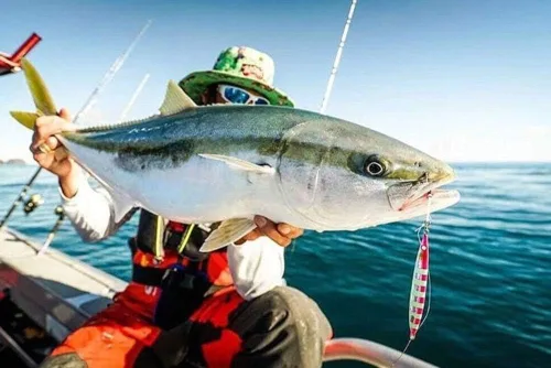 Vista 2 de Nomad Design Pesca en aguas profundas: disparador de acción errática para depredadores, hundimiento rápido y ganchos de asistencia BKK The Streaker
