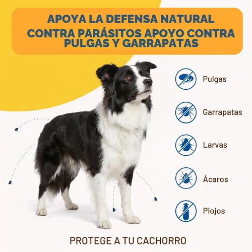 Vista 4 de Prevención natural de pulgas y garrapatas masticables para perros, tratamiento de pulgas y garrapatas para perros, 180 masticables suaves