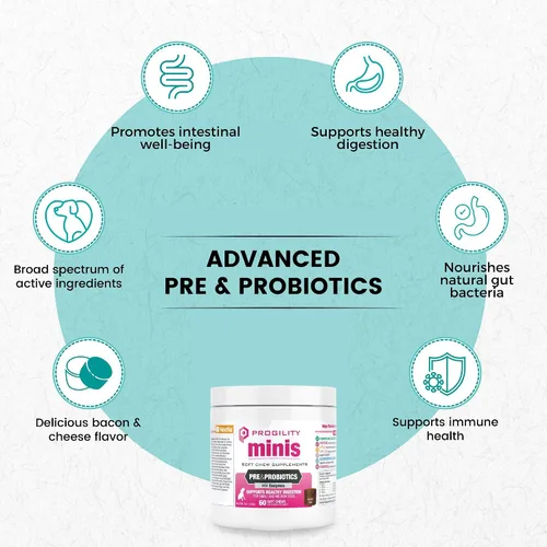 Vista 2 de Nootie Progility - Mini suplemento pre y probiótico, suplemento de ayuda digestiva para perros, 60 masticables suaves por envase