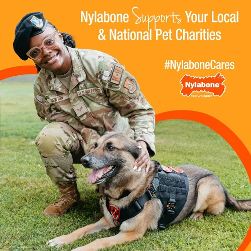 Vista 12 de Nylabone Juguete masticable fuerte de hueso de fémur gourmet para cachorros, juguetes calmantes para la dentición de cachorros, enriquecimiento