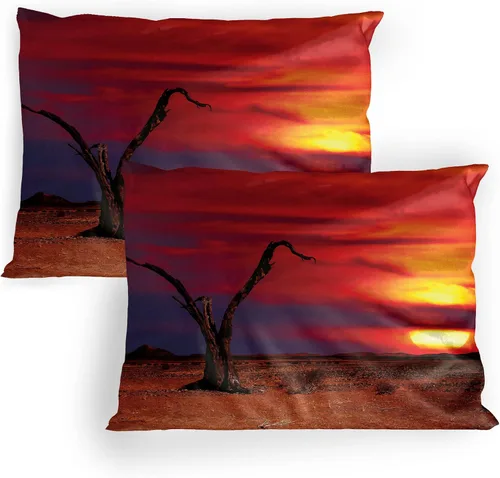 Vista 16 de Lunarable Nature Pillow Sham Set of 2, Sunset in a Winter Park Russia Sun Rays Through Trees Pathway to Forest, Quality Microfiber Bedding Item for